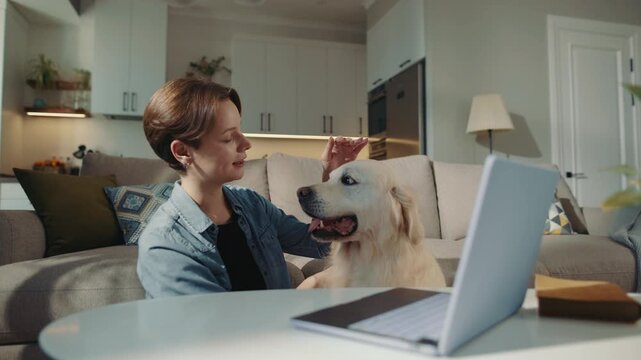 Young Woman Balancing Remote Work and Pet Care, Lovingly Petting and Scratching Her White Golden Retriever Dog While Typing on Laptop in Cozy Living Room