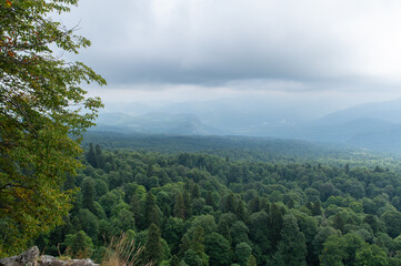 Mountain nature. Forests on hillsides