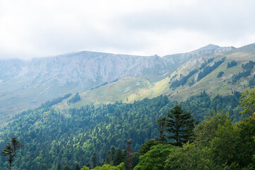 Obraz premium Mountain nature. Forests on hillsides