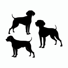 German Shorthaired Pointer Silhouette Vector Template Illustration
