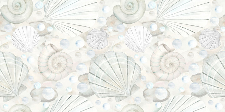 Watercolor shell set. Seamless pattern hand drawn in watercolor. Design elements in nautical style. Suitable for cards, invitations and textiles, scrapbooking.