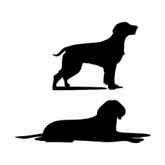 German Shorthaired Pointer Silhouette Vector Template Illustration