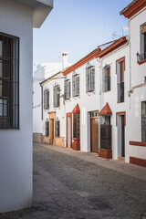 Entorno y detalles del pueblo de Ronda en Málaga