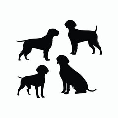 German Shorthaired Pointer Silhouette Vector Template Illustration