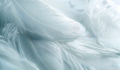 Fototapeta premium white feathers with a delicate blue shade in close-up, forming an airy background, are great for advertising bedding and home decor, emphasizing softness, lightness and tranquility,copy space