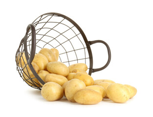 Young potatoes with metal basket isolated on white