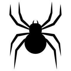 Spider Isolated On White