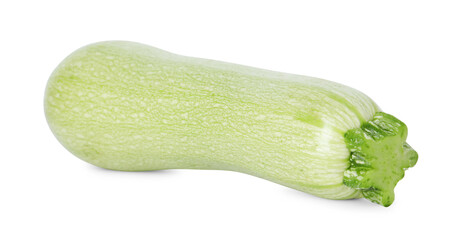 One fresh ripe zucchini isolated on white
