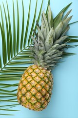 Fresh ripe pineapple and palm leaf on light blue background, top view