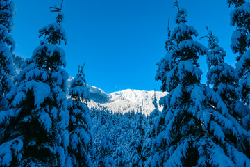Panoramic view of snow capped mountain peaks of Karawanks mountain range in Bärental, Carinthia,...