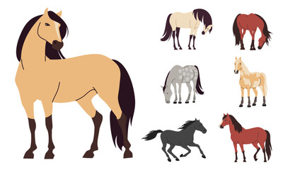 Set of flat vector illustrations on white background. Horses of different colors and breeds . Vector illustration