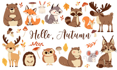 Set of flat vector illustrations. Forest animals, bear mouse hare elk deer hedgehog fox squirrel raccoon beaver lynx owl mushrooms, fall leaves. Lettering Hello, autumn. Vector illustration © Alena