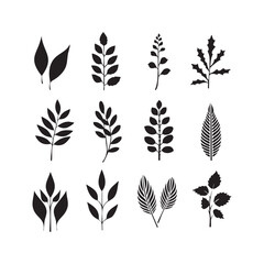 Set of leaves vector shilhouette design on white background