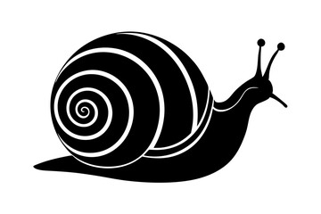 snail silhouette vector, Sea snail vector illustration


