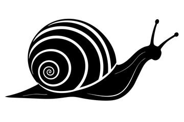 snail silhouette vector, Sea snail vector illustration


