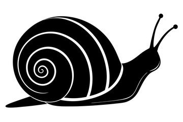 snail silhouette vector, Sea snail vector illustration


