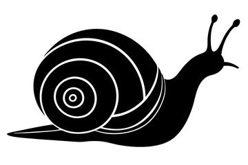 snail silhouette vector, Sea snail vector illustration


