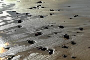 Kamienie i piasek na dzikiej plaży © grzegorz