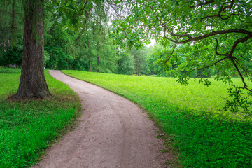 A path in a park with a tree in the background