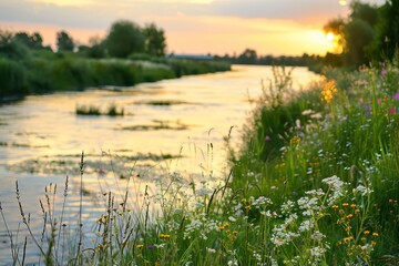 sunrise over the river