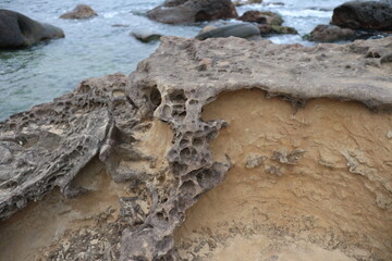 Close-up of a weathered and eroded rock formation on a coastline, showing intricate patterns and textures created by natural forces. The rock is a light brown color, with dark grey and black streaks.