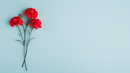 Obraz premium Red Carnations on Light Blue Background, Minimalistic Floral Design with Ample Copyspace, Perfect for Nature-Inspired Themes, Spring Decor, or Floral Art Projects.