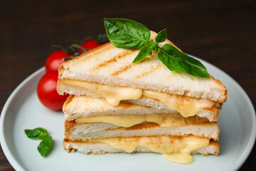 Pieces of toasted bread with melted cheese, tomato and basil on table, closeup