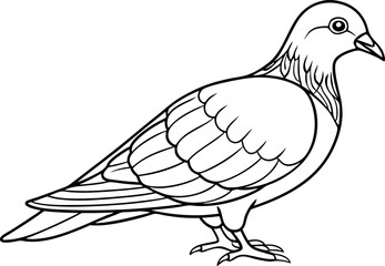 Black and White Outline of a Pigeon Bird for Coloring