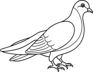 Black And White Bird Outline Drawing For Coloring
