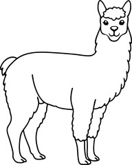 Black and White Outline Drawing of a Standing Llama