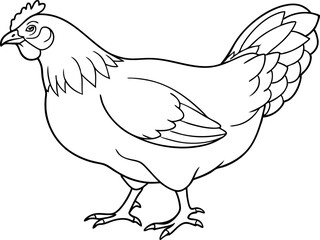 Black And White Chicken Line Drawing for Coloring