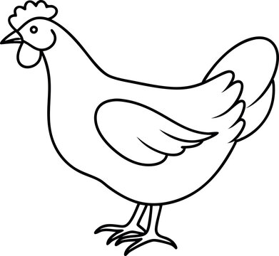 recommend clip art: Simple Chicken Outline Drawing for Coloring Pages