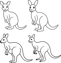 set of kangaroo illustration in vector
