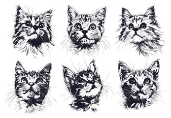 Obraz premium Cats heads sketches set. Cat head kitten sketch portrait, cute fur domestic pet muzzle realistic drawing vector illustration