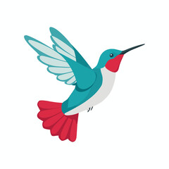 Fototapeta premium vector illustration of a flying hummingbird