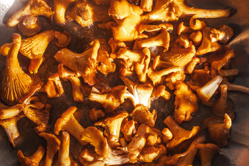 Golden, delicious chanterelles are fried in a pan. Close-up. Selected focus