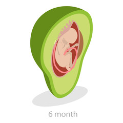 3D Isometric Flat Vector Illustration of Embryo Monthly Growth Stages, Human Fetus Development. Item 9