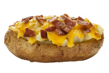 bacon and cheese on a separated from white and transparent background