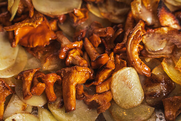 Fried potatoes with chanterelle mushrooms in butter. Close-up. Selected focus. Background.