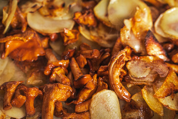Fried potatoes with chanterelle mushrooms in butter. Close-up. Selected focus. Background.