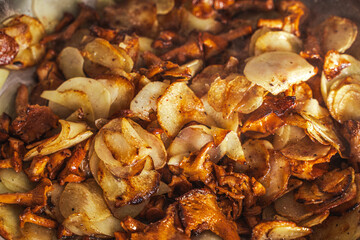 Chanterelle mushrooms with thinly sliced potatoes are fried in a pan. Vegetarian dish. Background. Selected focus.