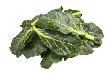 green of bunch leaves separated from white and transparent background