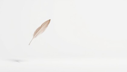 Single Beige Feather Falling on White Background.
