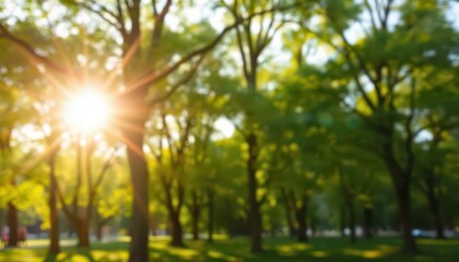 Obraz premium Abstract Blurred Green Trees with Sun Rays