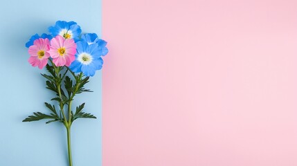 Blue and pink flowers on a blue and pink background with copy space. Flat lay floral composition perfect for greeting cards, invitations, banners, posters, and spring-themed marketing materials.
