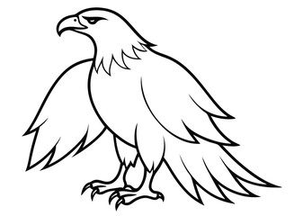  eagles   Silhouette vector   illustration 