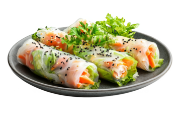 let and plate a salmon separated from white and transparent background