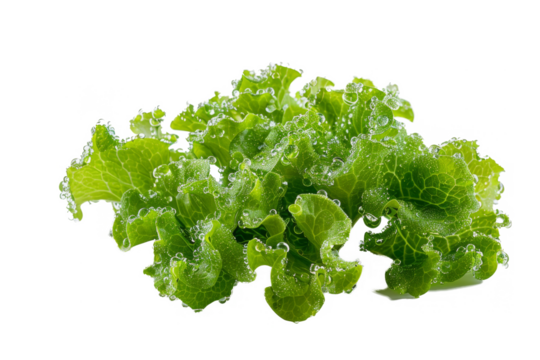 lete let separated from white and transparent background