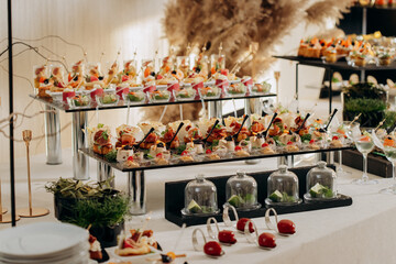 Assortment of delicious snacks on the open buffet festive table in restaurant. Catering plate