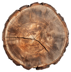 Obraz premium PNG Natural tree trunk cross-section